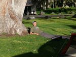 Volcanoes Nat'l Park - Namakani Paio Campground
